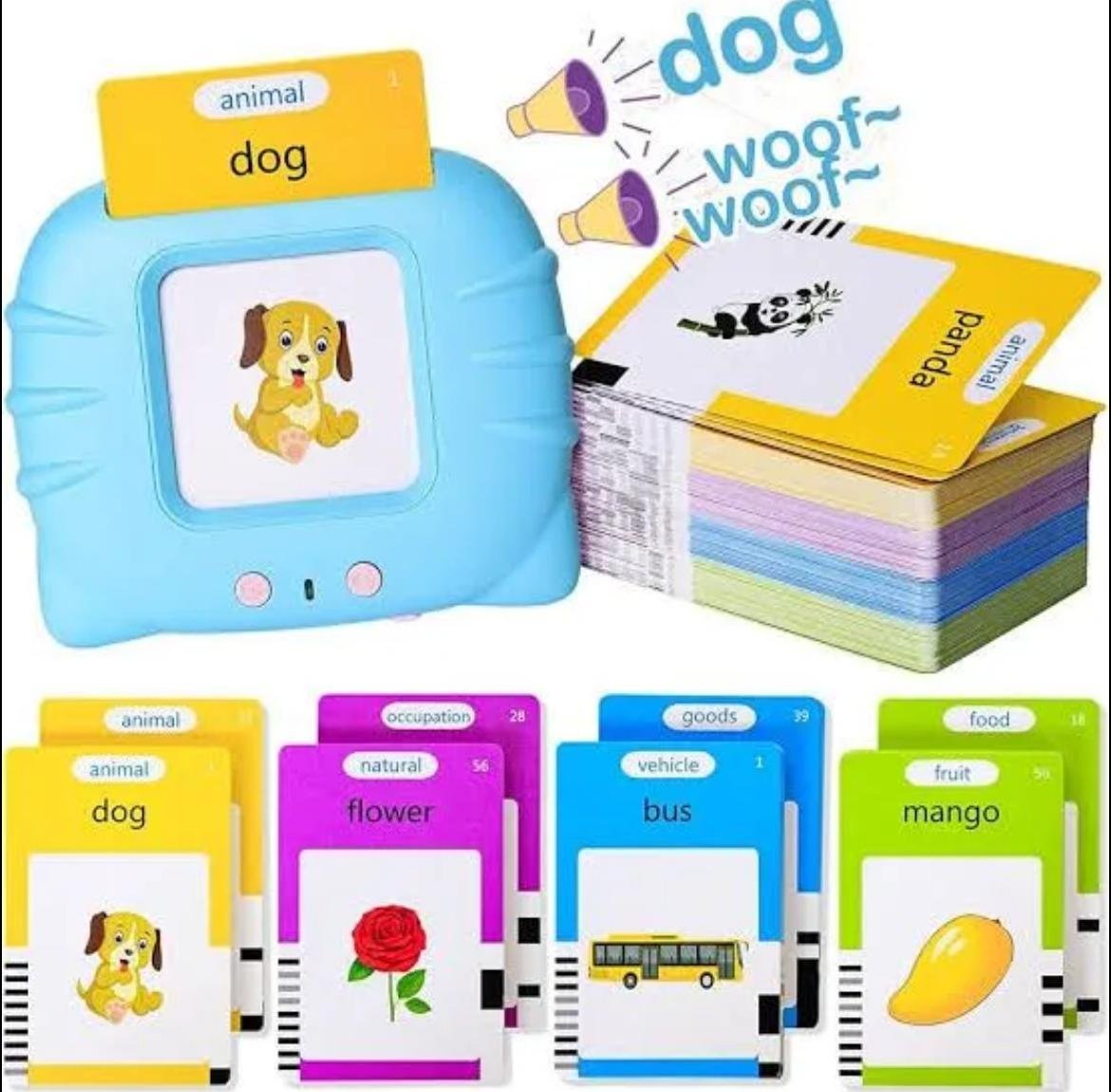 Talking Flashcards Learning Toy