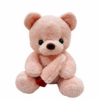 IMG_9786 Cuddly Love Bear Plush Toy – Available in Pink & Grey