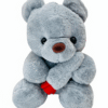 IMG_9787 Cuddly Love Bear Plush Toy – Available in Pink & Grey